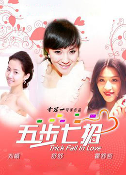 五步七招 2011 电影 海报